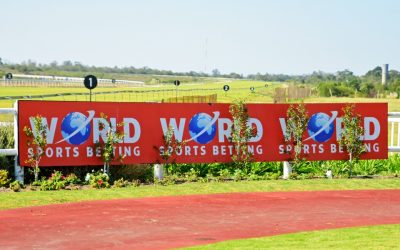 World Sports Betting Horse Racing – Fairview Friday 22 September