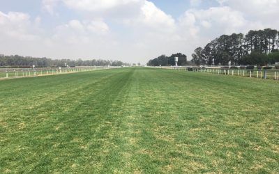 Vaal, Thursday 04 November