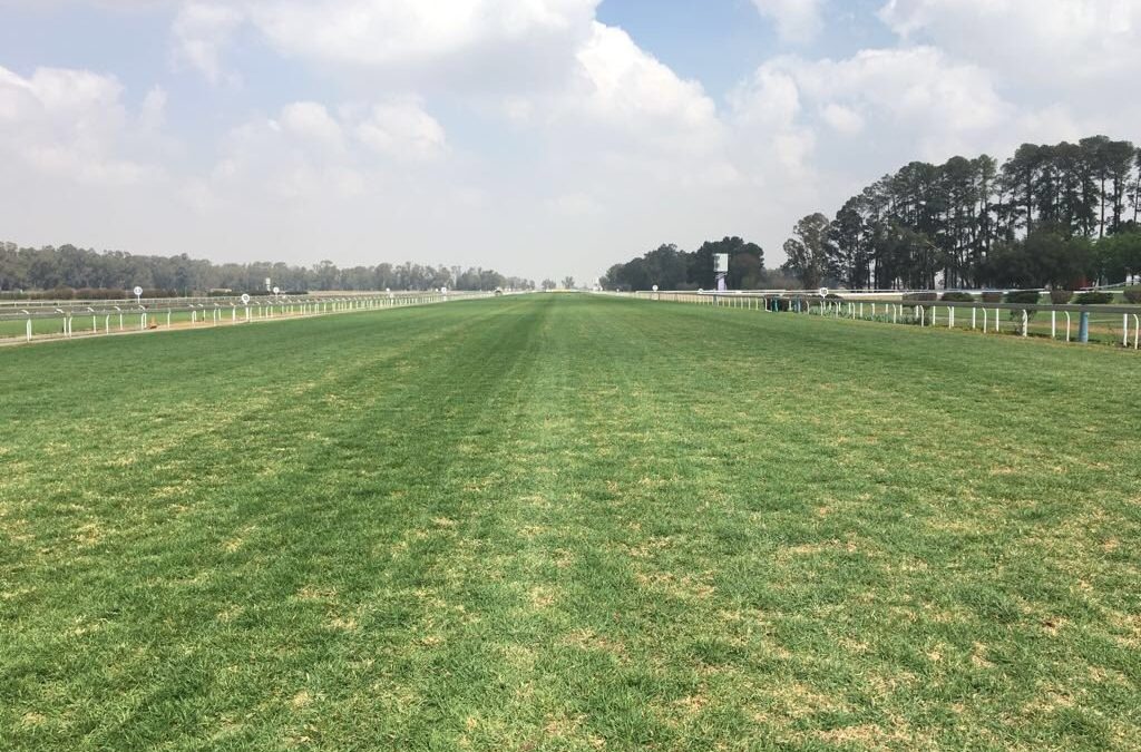 Vaal, Thursday 14 October
