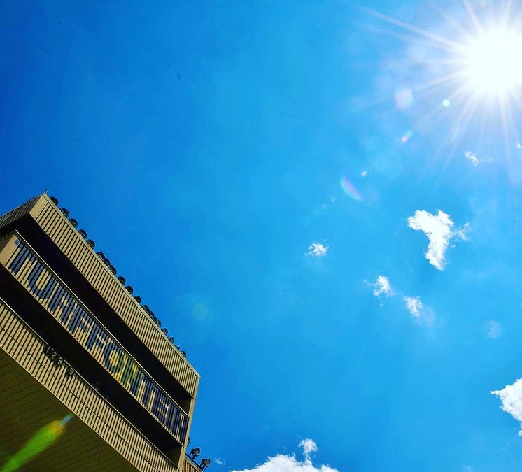 World Sports Betting Horse Racing – Turffontein Saturday 19th August 2023