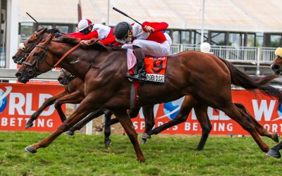 Greyville, Sunday 2 May