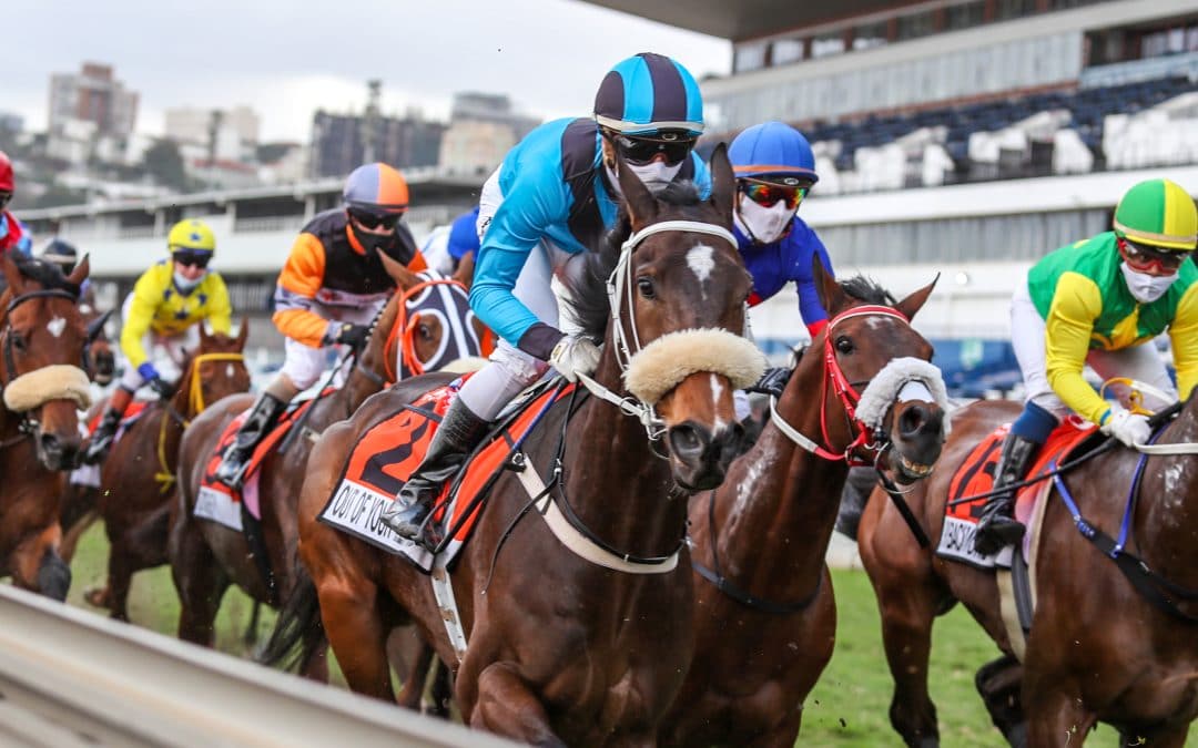 GREYVILLE, Boxing Day 26 December