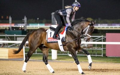 Life Is Good tops stellar 26th edition of Dubai World Cup