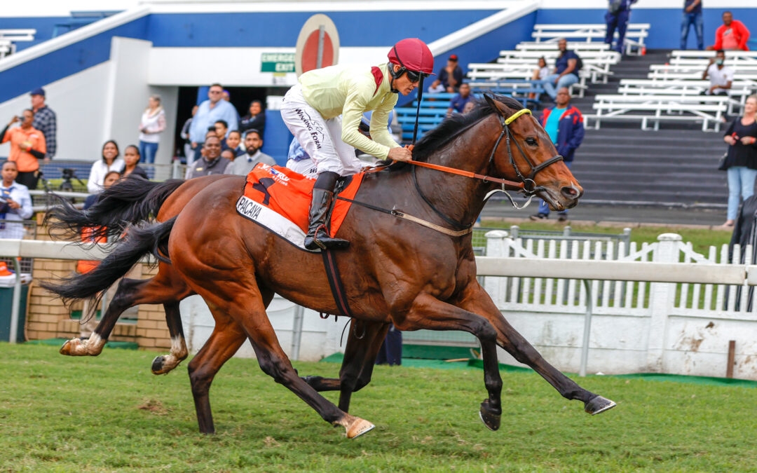 DURBAN JULY 2023 FINAL FIELD ANNOUNCEMENT