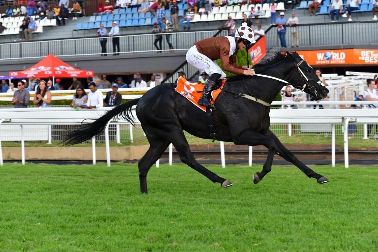 World Sports Betting SA Nursery winner Lucky Lad