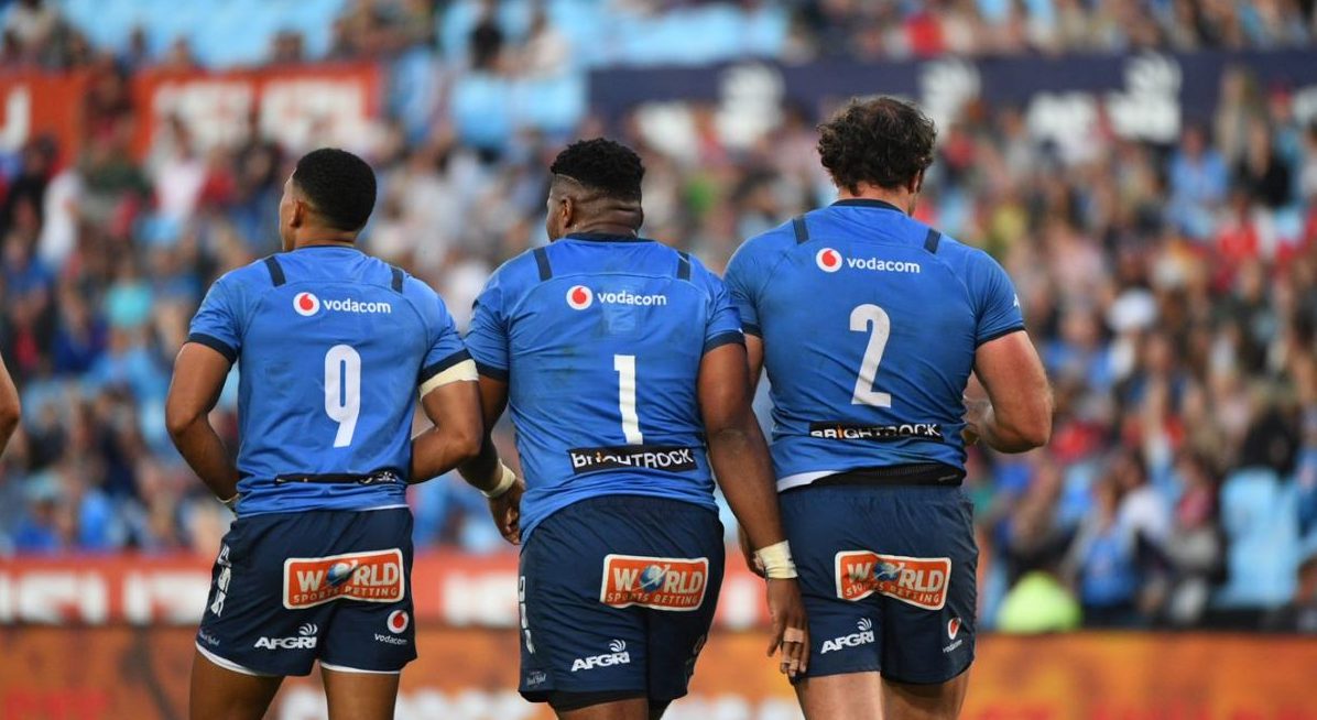 vodacom bulls rugby