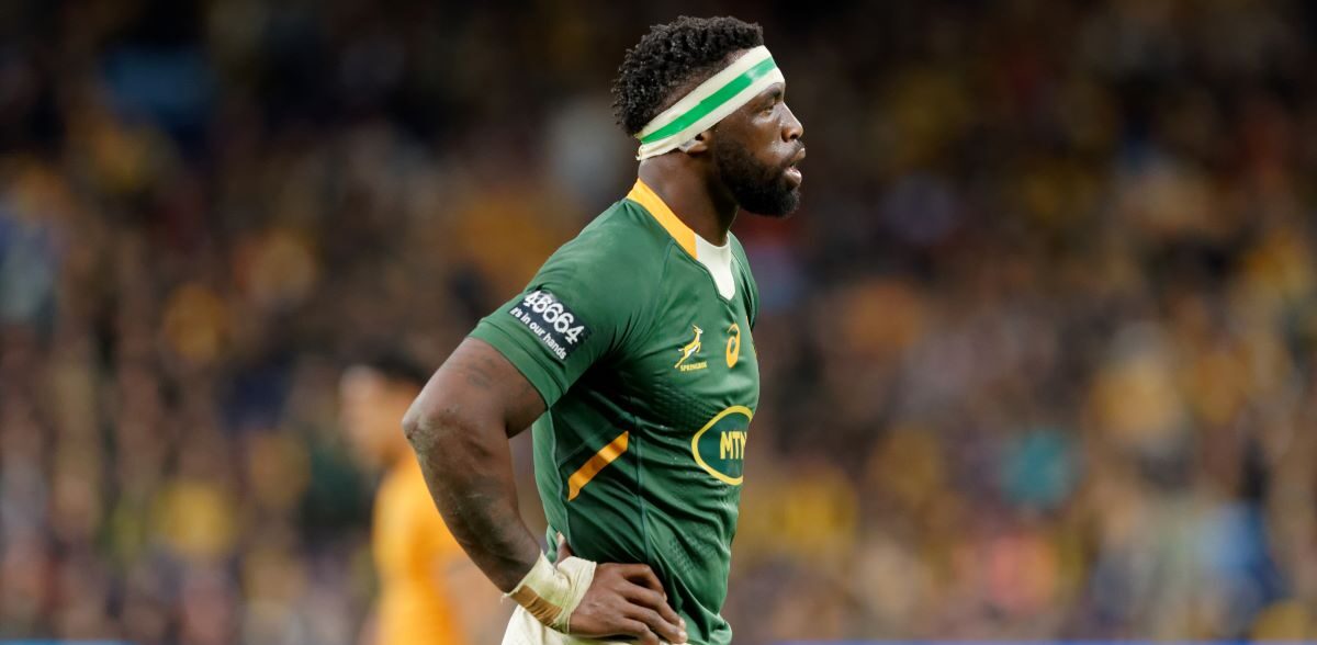 SPRINGBOKS RUGBY PREVIEWS